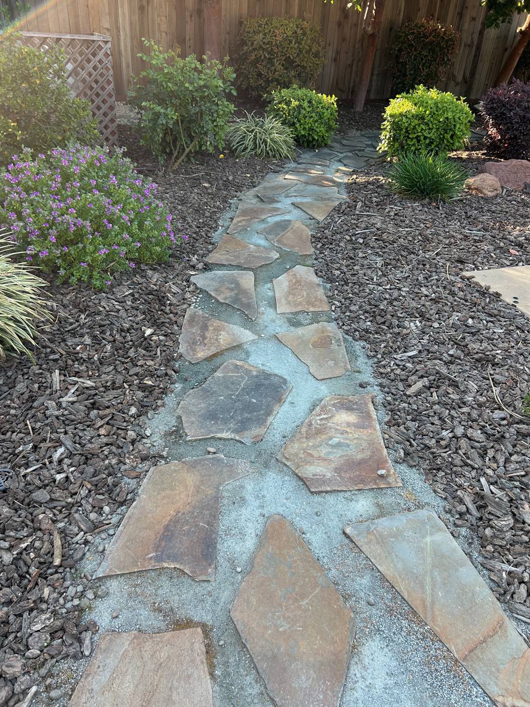 Flagstone garden path through landscaped beds
